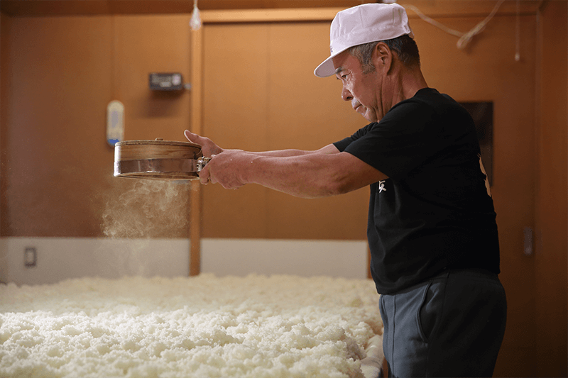 Making koji