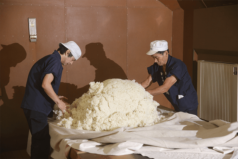 Making koji