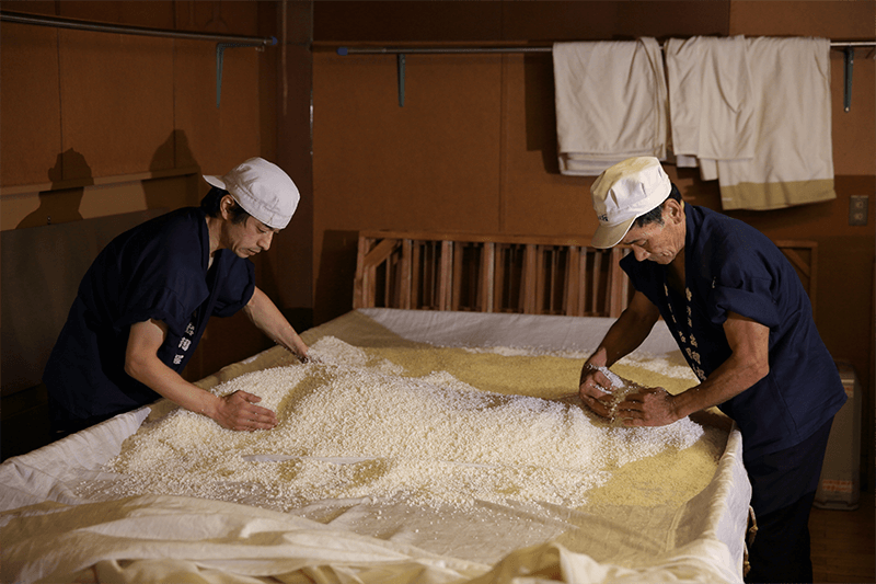 Making koji