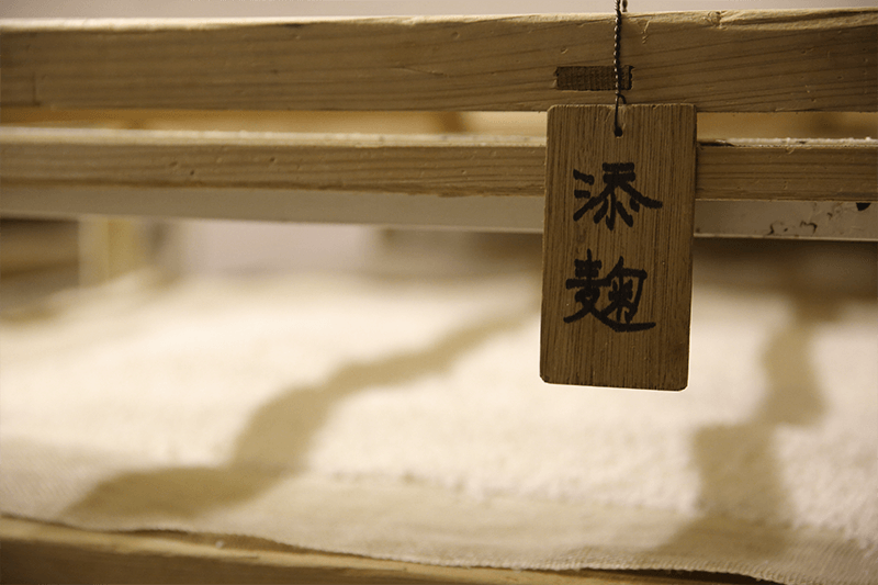 Making koji