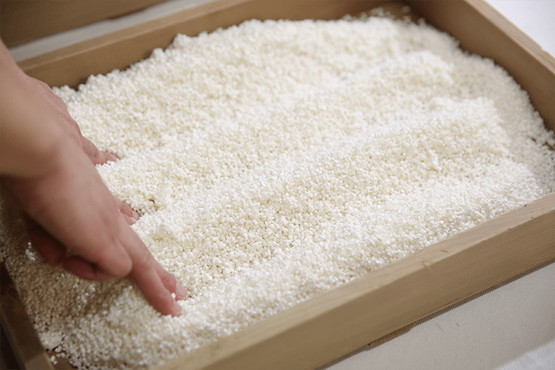 Making koji