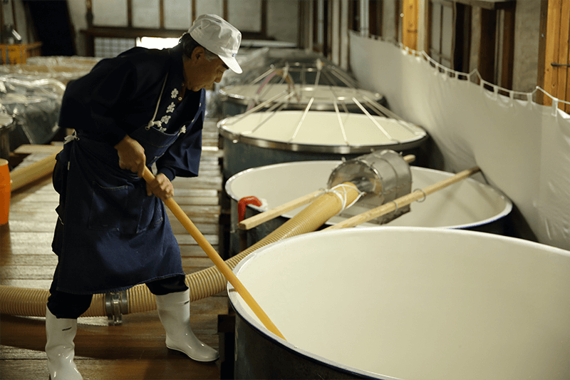 Preparing Moromi / Fermentation