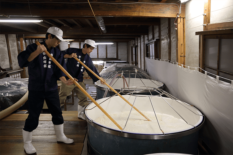 Preparing Moromi / Fermentation