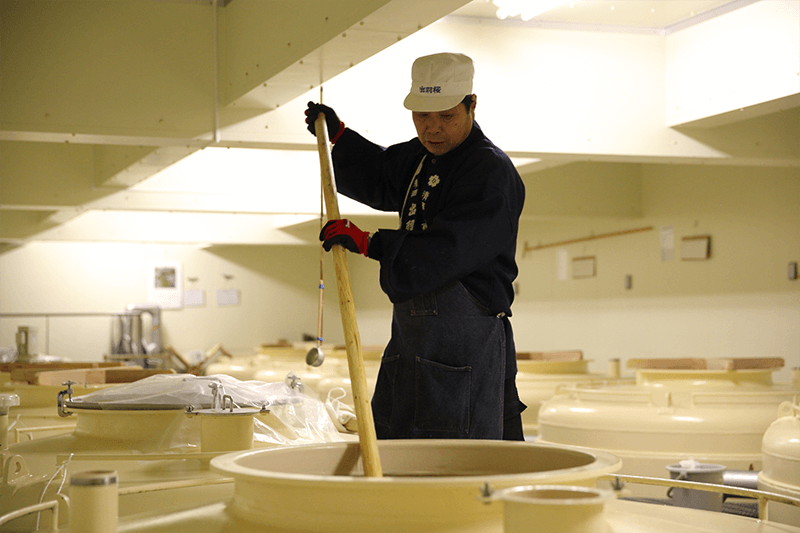 Preparing Moromi / Fermentation