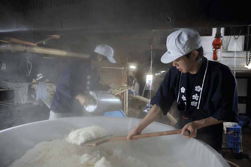 Steamed rice