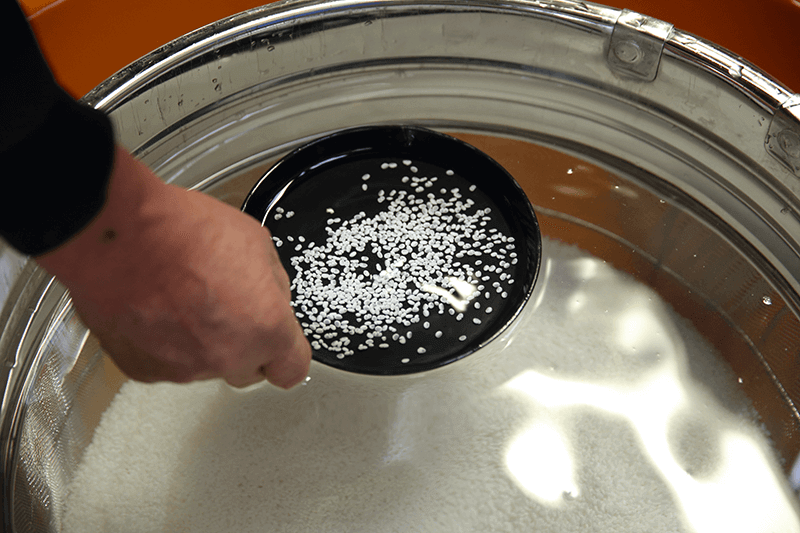 Washed rice
